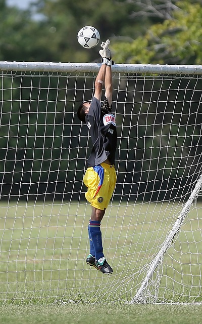 系中不可替 系中不可替