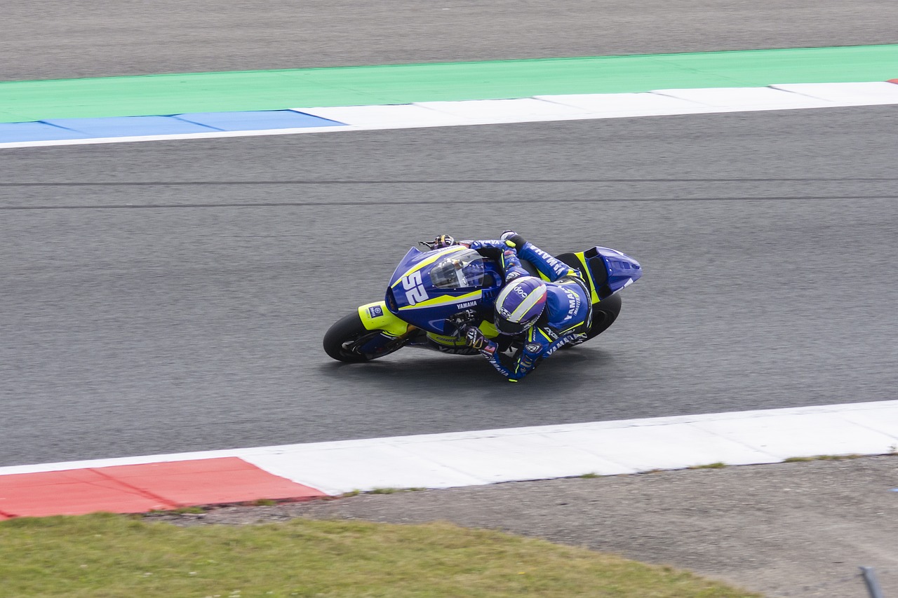 引发了很多 引发了很多