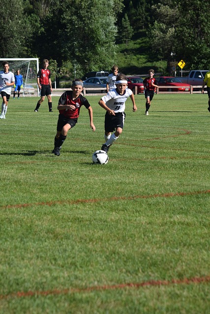 不仅仅依靠 不仅仅依靠