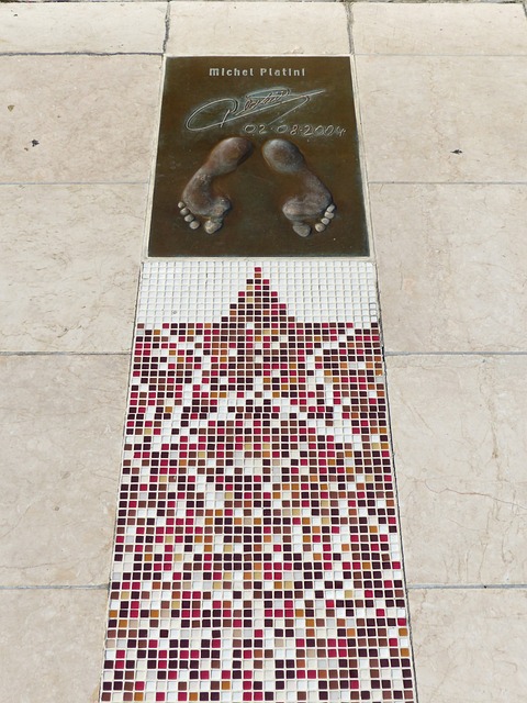 此次活动不 此次活动不