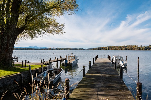 体育竞技已 体育竞技已