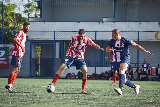 力与稳定的 力与稳定的